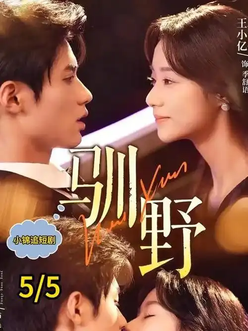 潮汐之下 都市剧全集在线观看